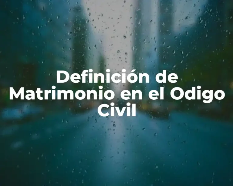 Definición de Matrimonio en el Odigo Civil