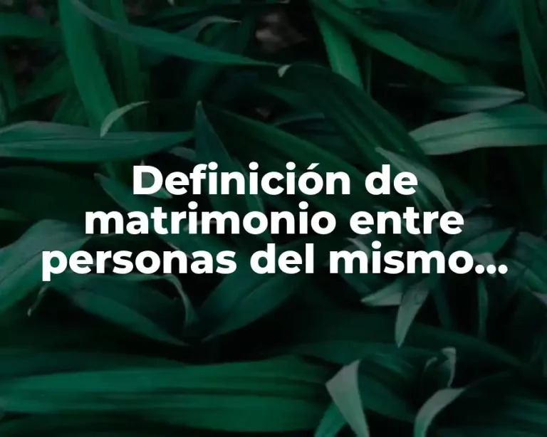 Definición de matrimonio entre personas del mismo sexo