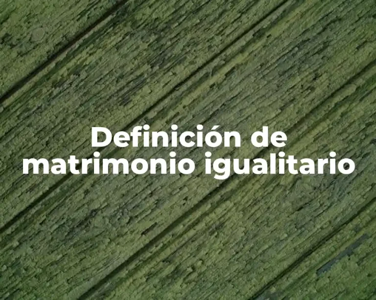 Definición de matrimonio igualitario