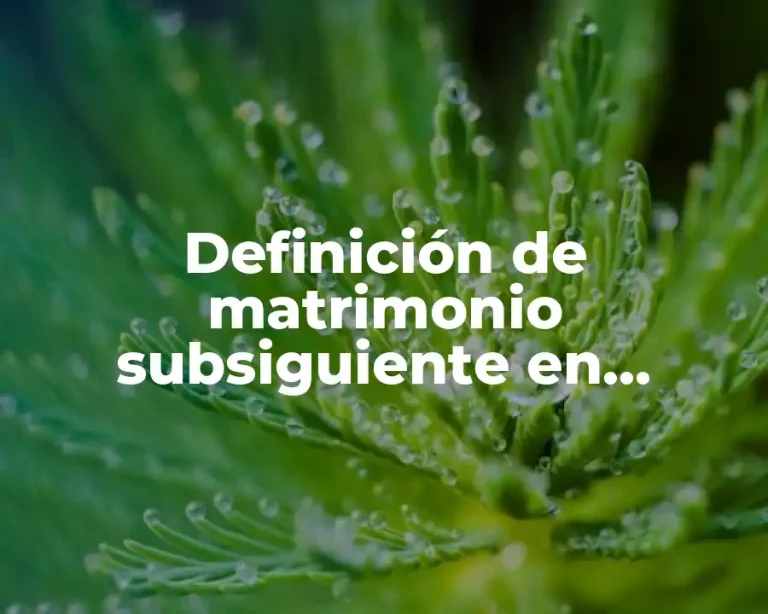 Definición de matrimonio subsiguiente en derecho romano
