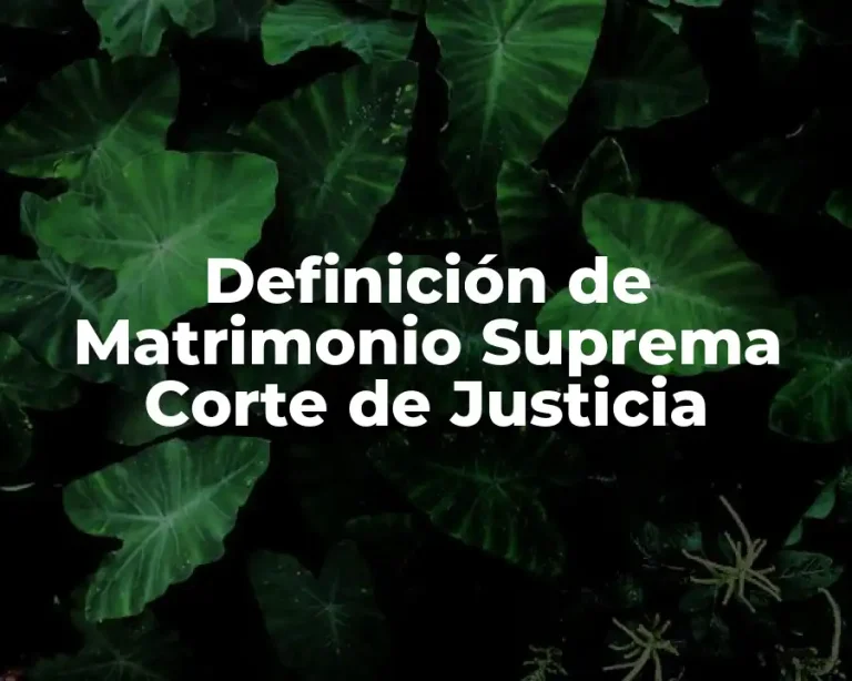 Definición de Matrimonio Suprema Corte de Justicia