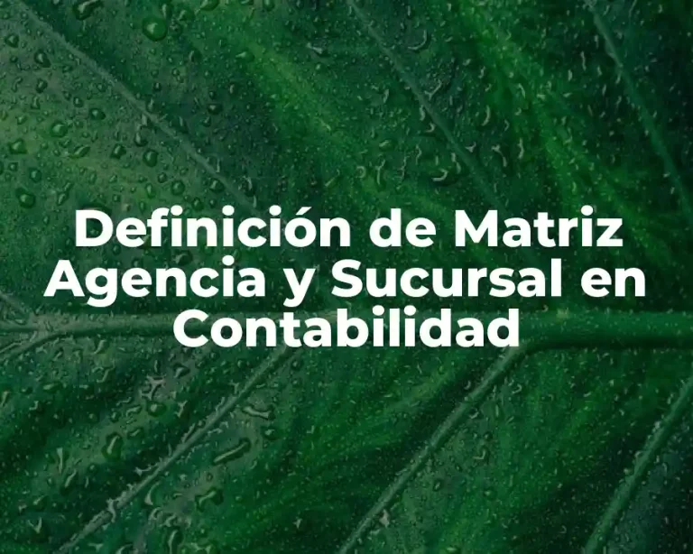 Definición de Matriz Agencia y Sucursal en Contabilidad