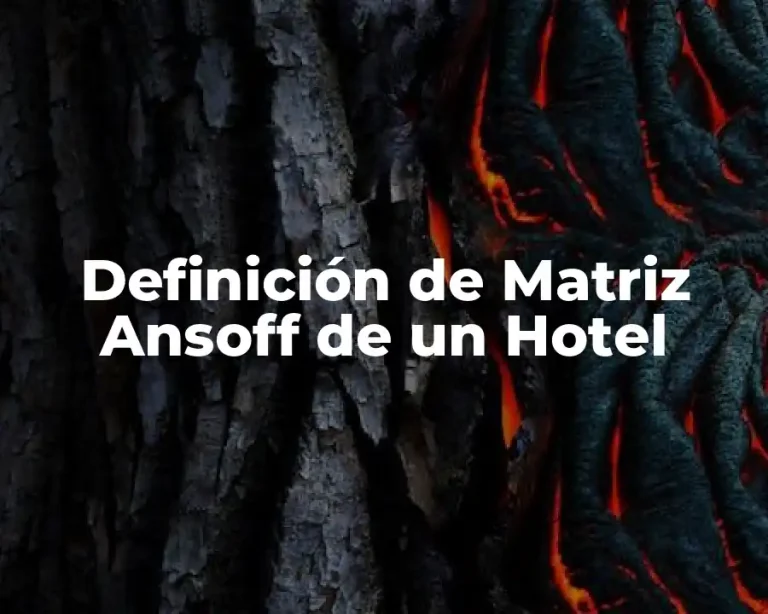 Definición de Matriz Ansoff de un Hotel