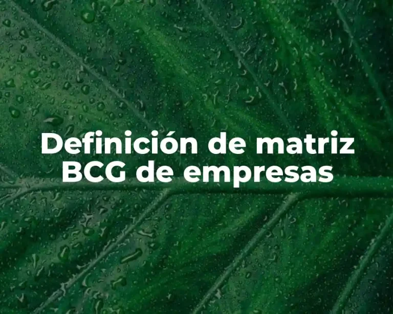 Definición de matriz BCG de empresas