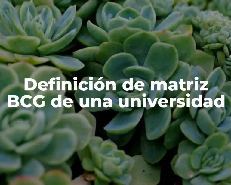 Definición de matriz BCG de una universidad