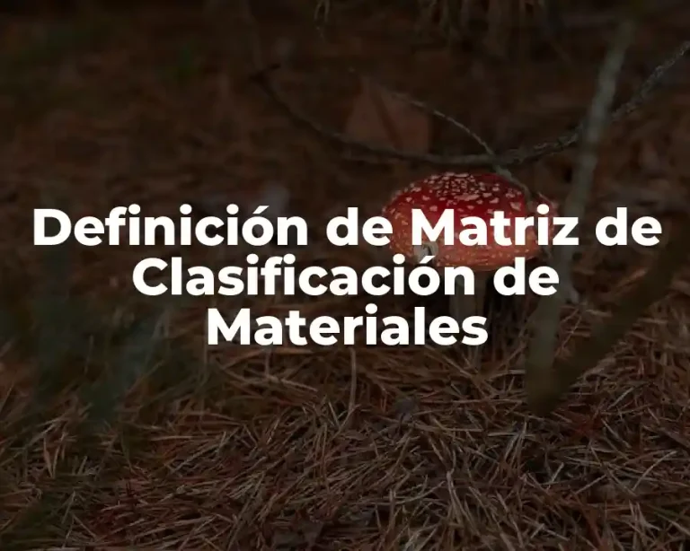 Definición de Matriz de Clasificación de Materiales