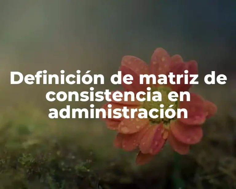 Definición de matriz de consistencia en administración