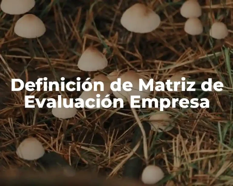Definición de Matriz de Evaluación Empresa