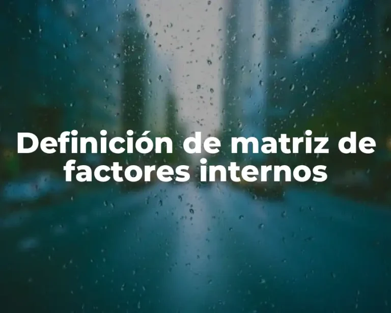 Definición de matriz de factores internos