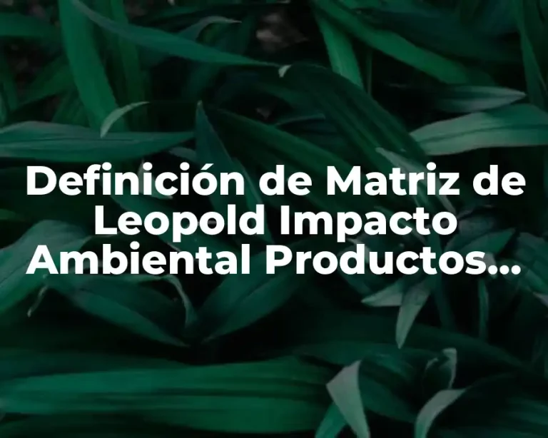 Definición de Matriz de Leopold Impacto Ambiental Productos de Limpieza