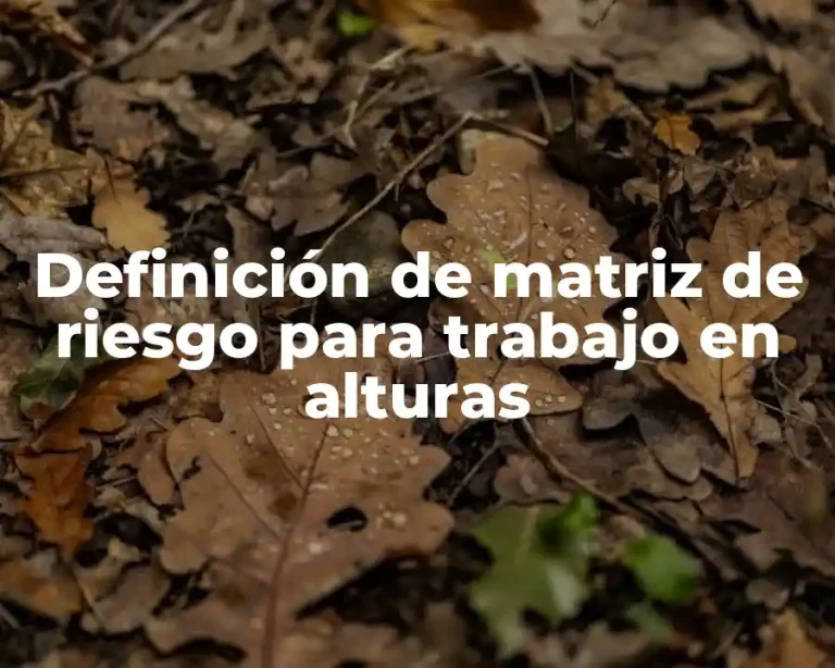Definición de matriz de riesgo para trabajo en alturas