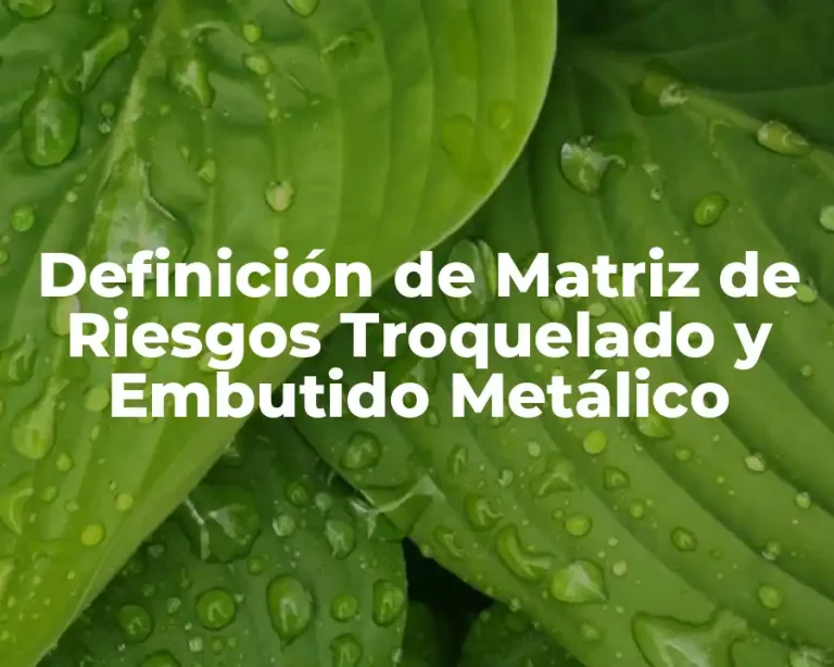 Definición de Matriz de Riesgos Troquelado y Embutido Metálico