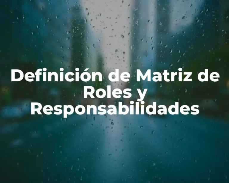 Definición de Matriz de Roles y Responsabilidades