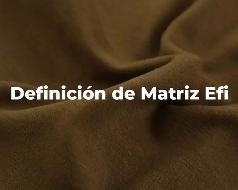 Definición de Matriz Efi