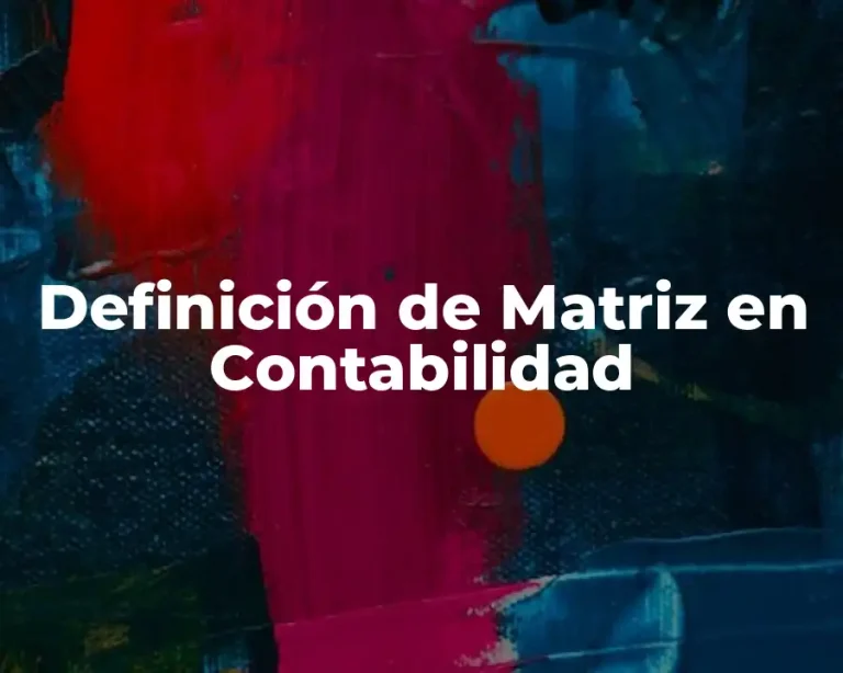 Definición de Matriz en Contabilidad