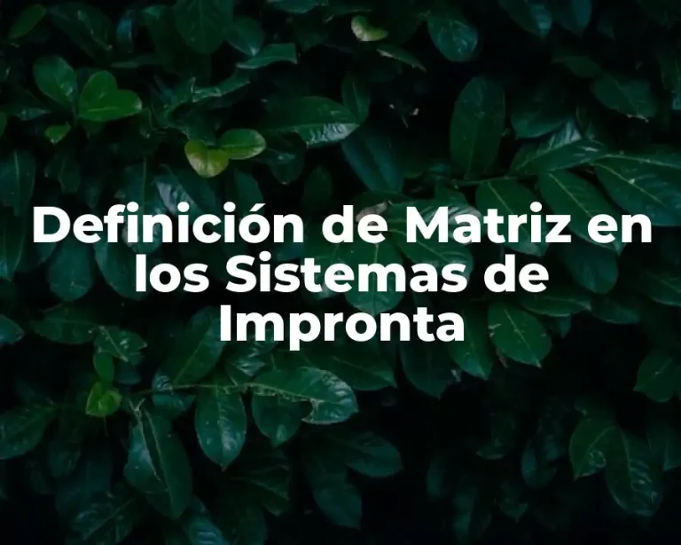 Definición de Matriz en los Sistemas de Impronta