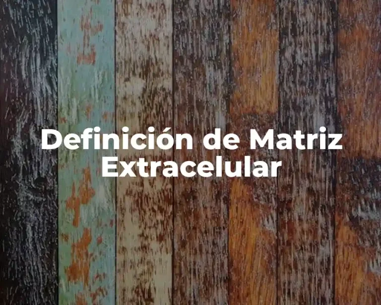 Definición de Matriz Extracelular