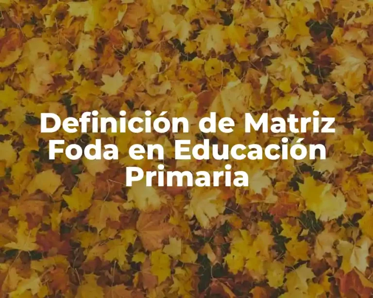 Definición de Matriz Foda en Educación Primaria