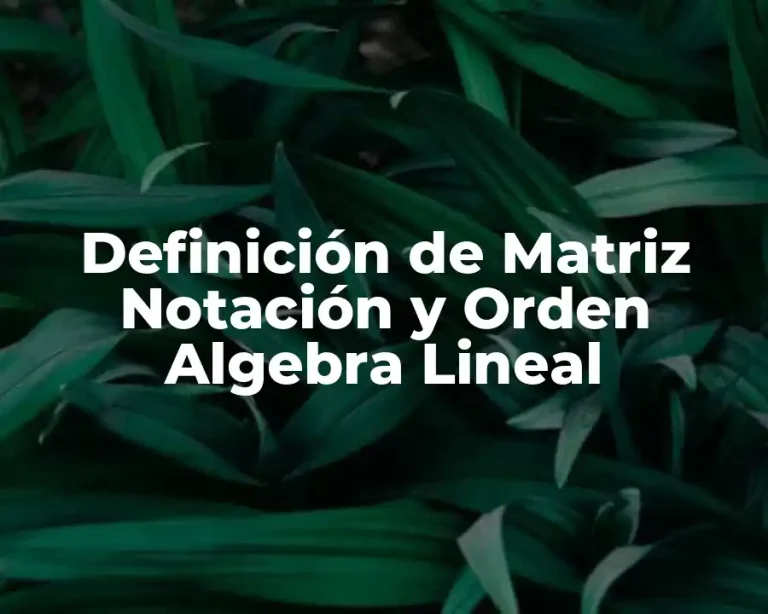 Definición de Matriz Notación y Orden Algebra Lineal