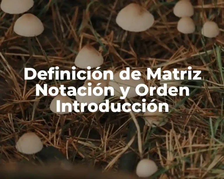 Definición de Matriz Notación y Orden Introducción