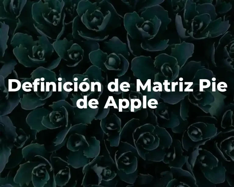 Definición de Matriz Pie de Apple