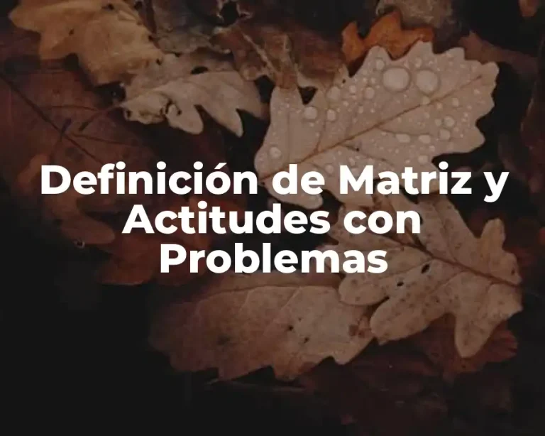 Definición de Matriz y Actitudes con Problemas