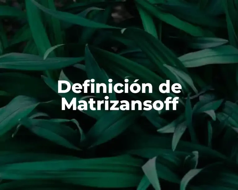 Definición de Matrizansoff