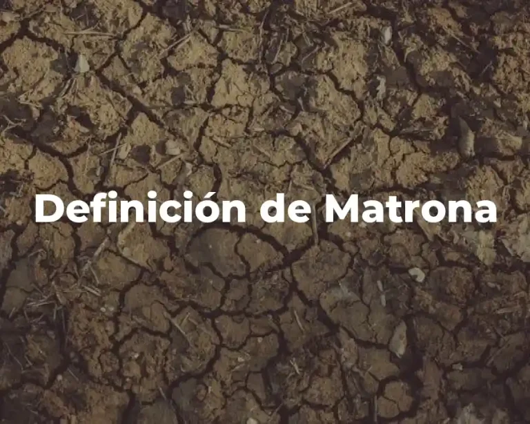 Definición de Matrona