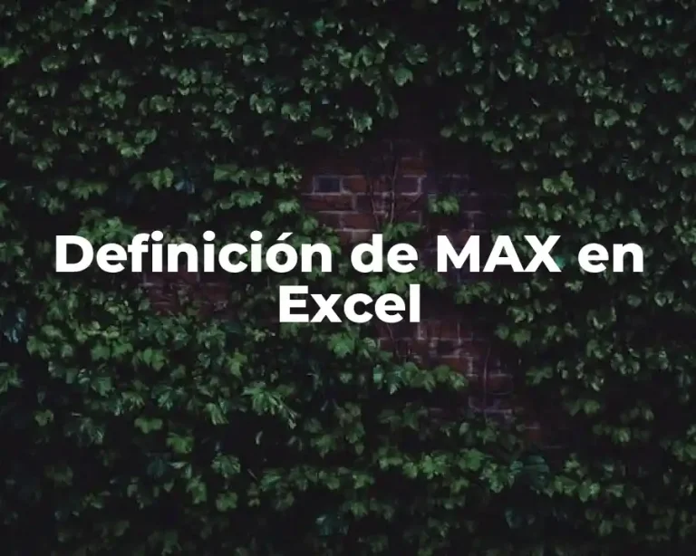Definición de MAX en Excel