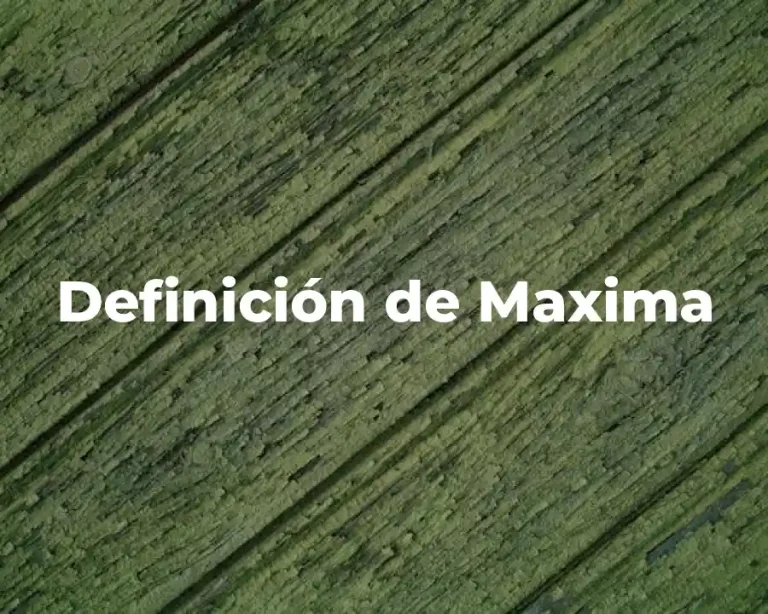 Definición de Maxima