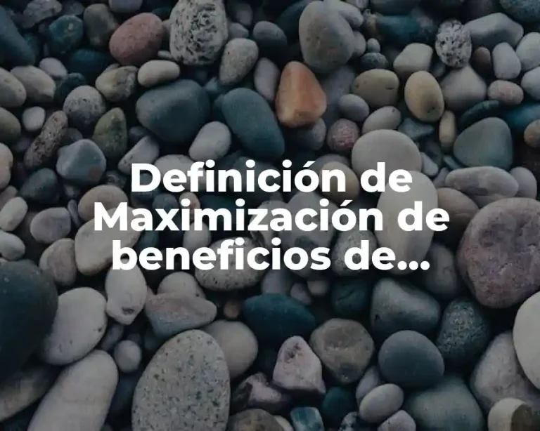 Definición de Maximización de beneficios de competencia monopolista