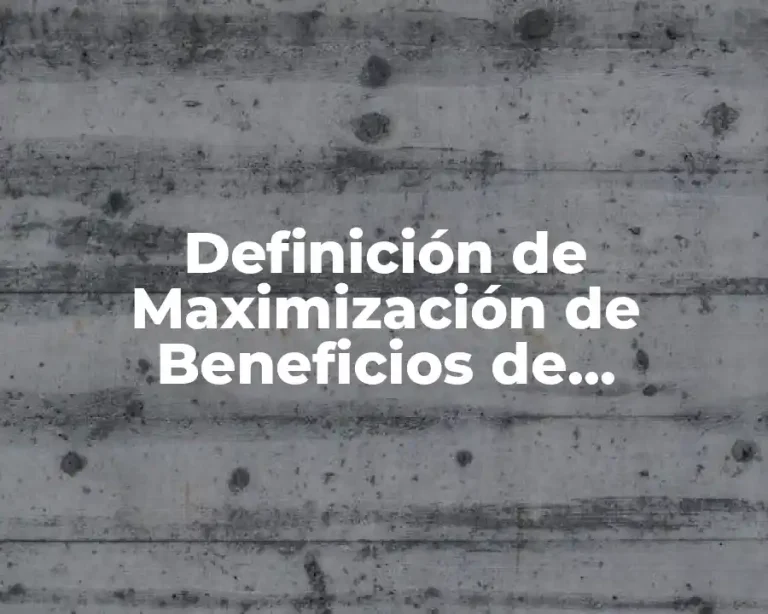 Definición de Maximización de Beneficios de Competencia Perfecta