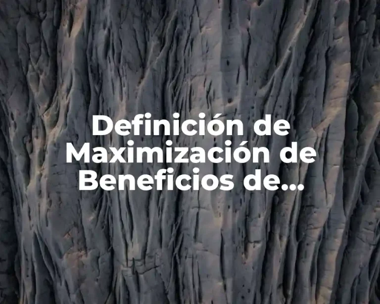 Definición de Maximización de Beneficios de Oligopolio