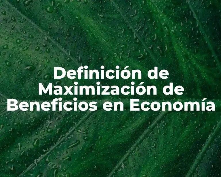 Definición de Maximización de Beneficios en Economía