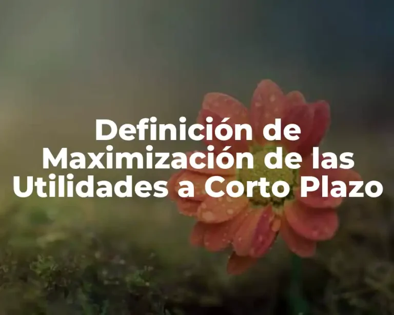 Definición de Maximización de las Utilidades a Corto Plazo