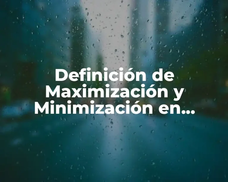 Definición de Maximización y Minimización en Programación Lineal