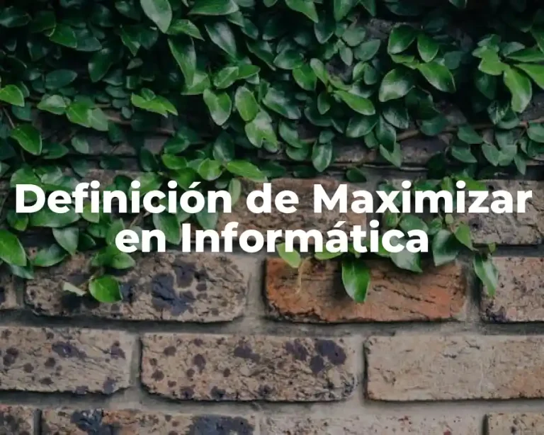 Definición de Maximizar en Informática