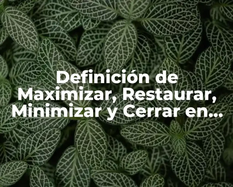 Definición de Maximizar, Restaurar, Minimizar y Cerrar en Computación