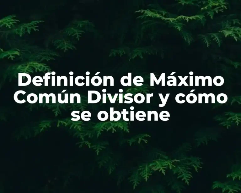 Definición de Máximo Común Divisor y cómo se obtiene