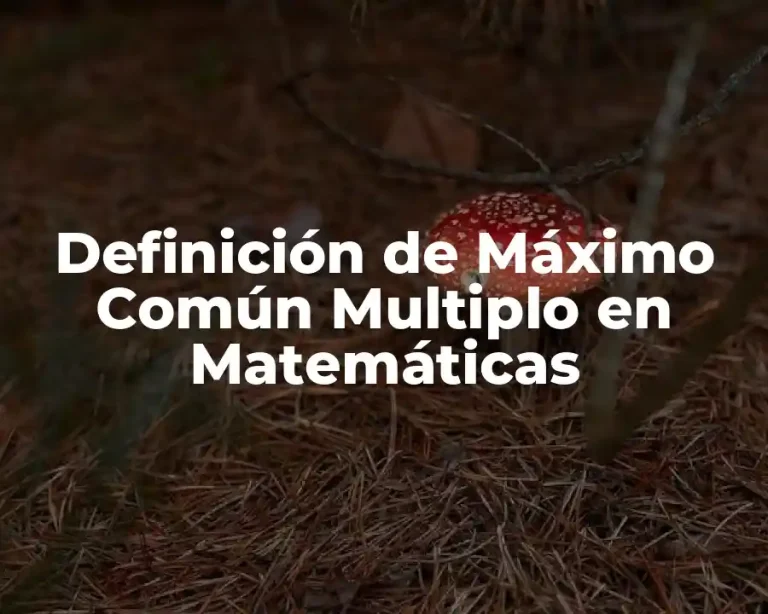 Definición de Máximo Común Multiplo en Matemáticas