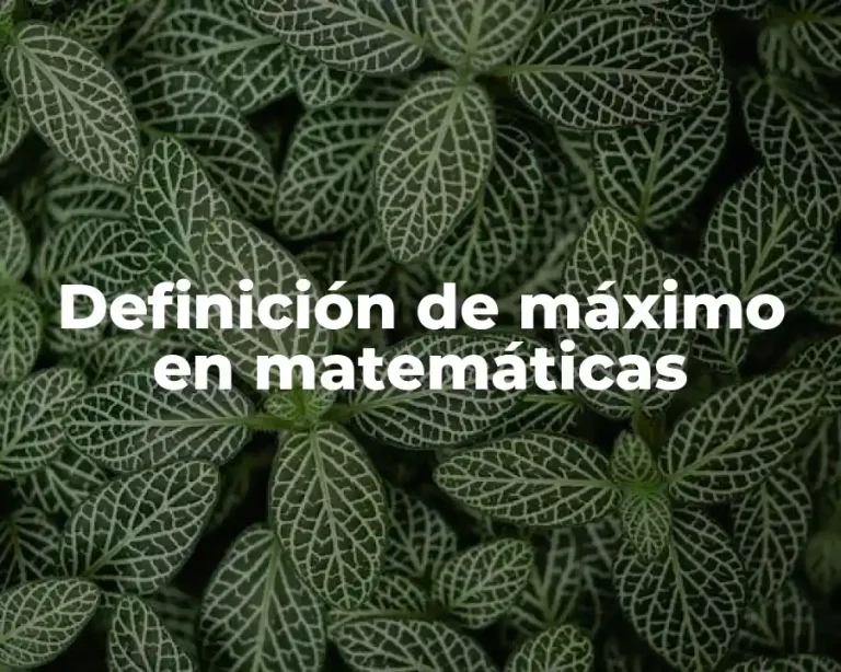 Definición de máximo en matemáticas