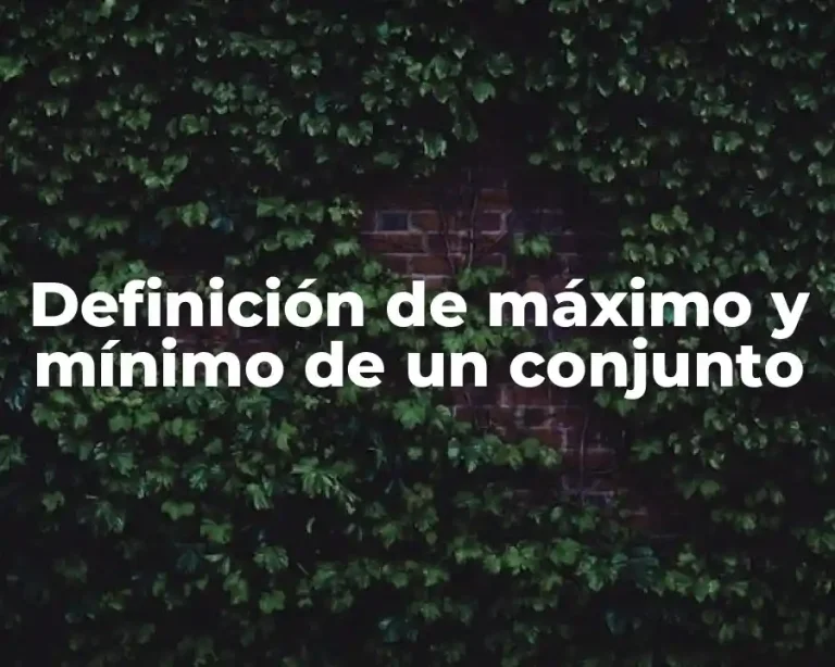 Definición de máximo y mínimo de un conjunto