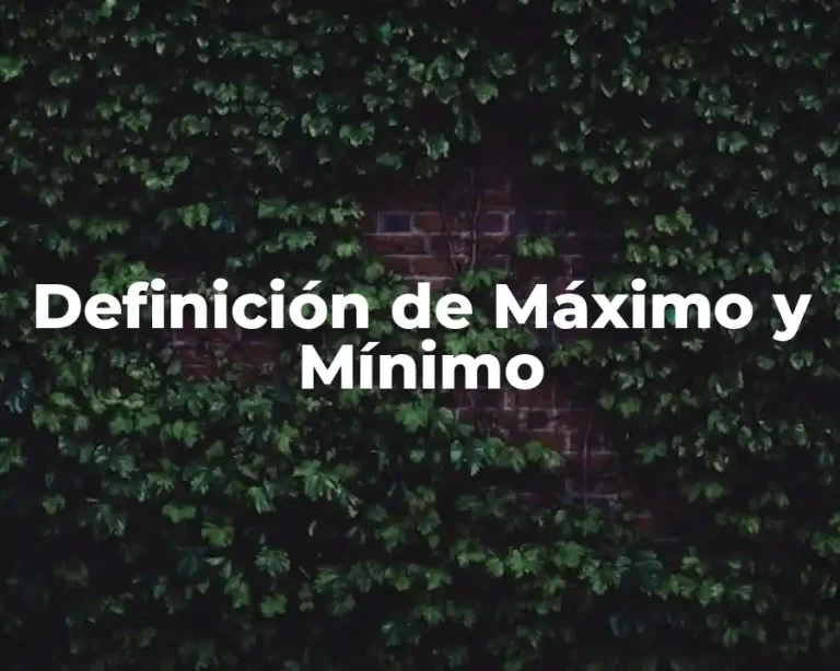 Definición de Máximo y Mínimo