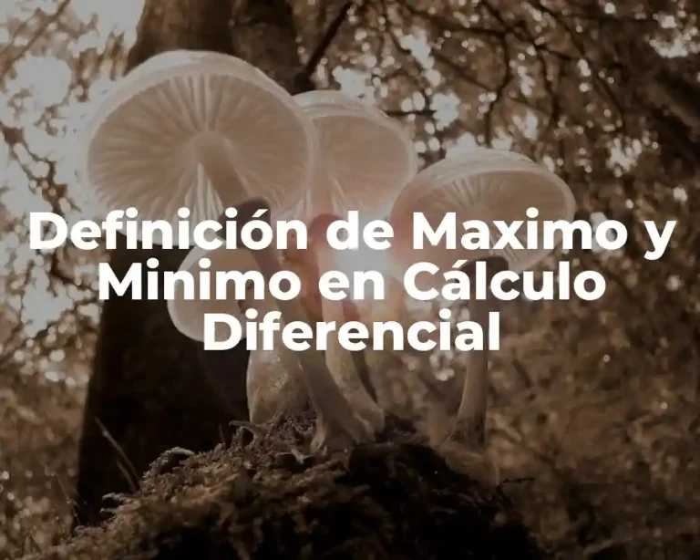 Definición de Maximo y Minimo en Cálculo Diferencial
