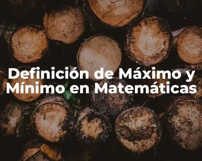 Definición de Máximo y Mínimo en Matemáticas