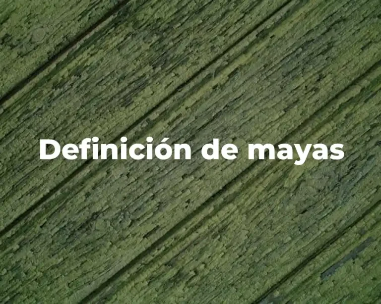 Definición de mayas