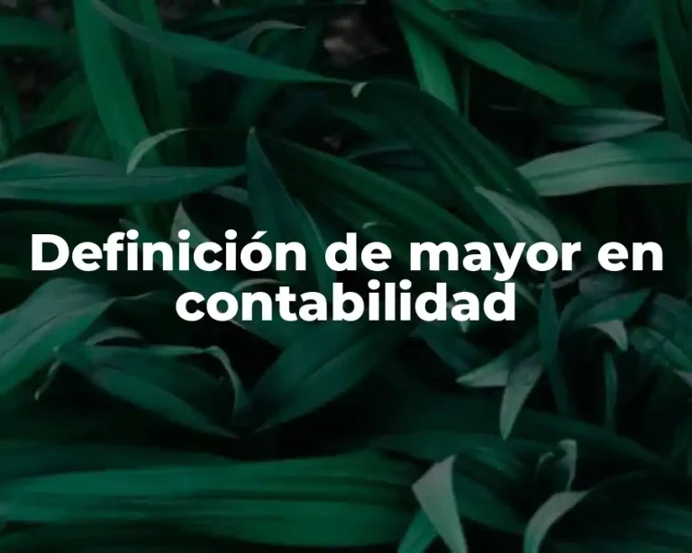 Definición de mayor en contabilidad