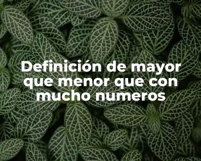 Definición de mayor que menor que con mucho numeros