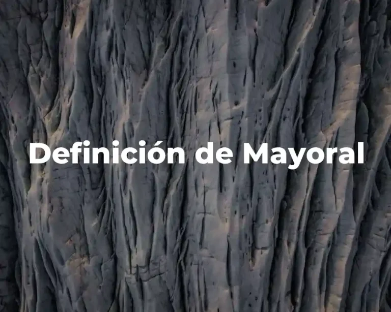 Definición de Mayoral