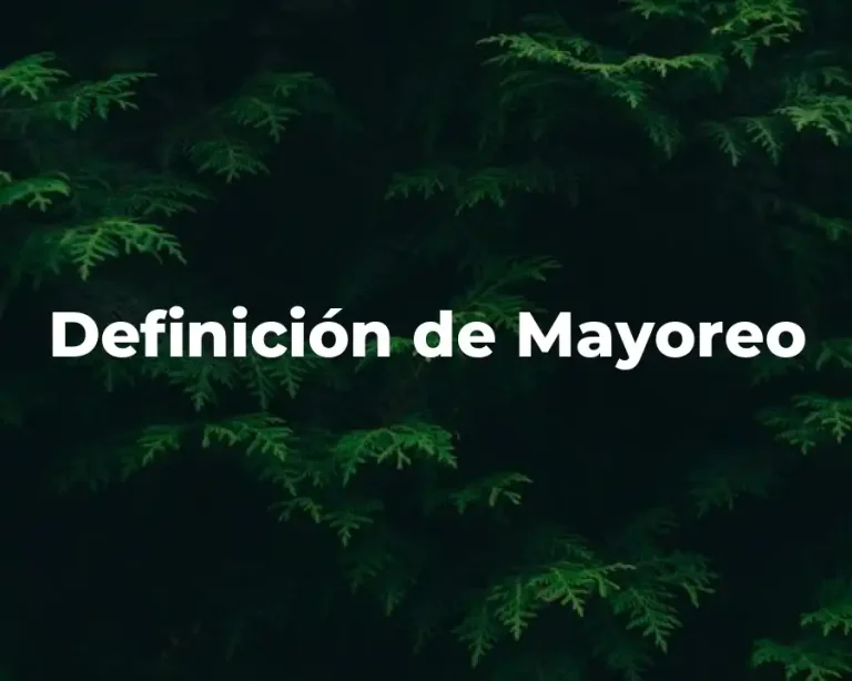Definición de Mayoreo